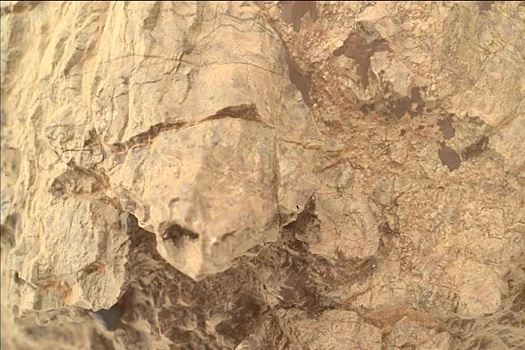 Марсоход передал фото причудливой "черепахи" с поверхности планеты