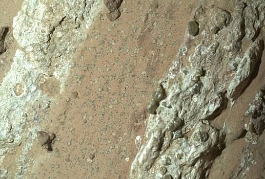 НАСА обнаружило признаки жизни на Марсе