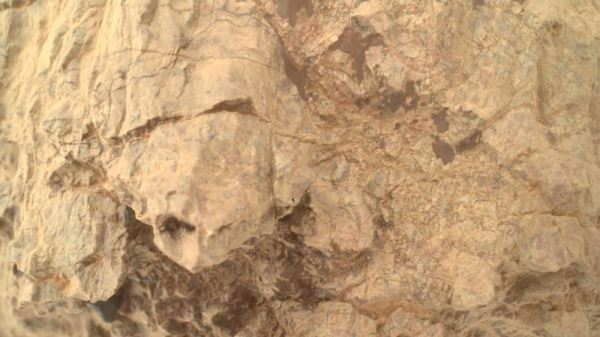 Марсоход прислал с Красной планеты фото «черепахи»