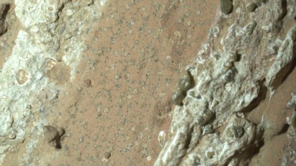 В прошлом на Марсе могла быть микробная жизнь — данные c ровера