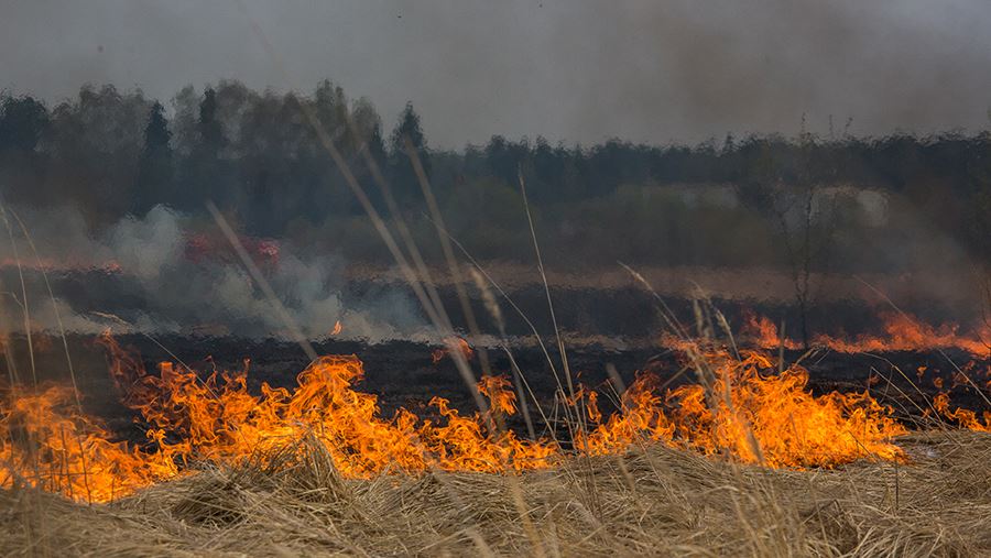 Возгорание произошло в Ростовской области после атаки БПЛА